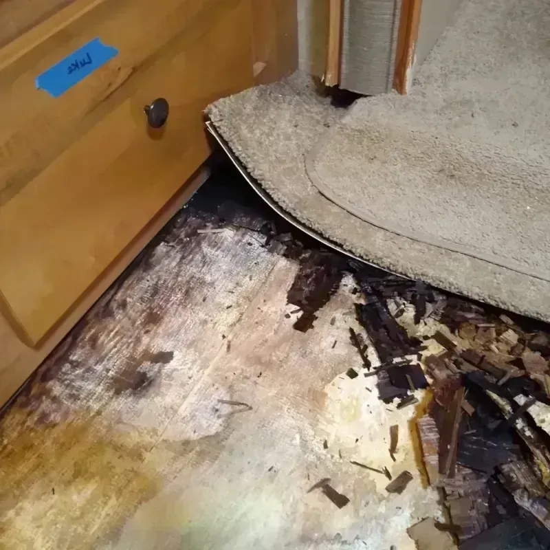 Wood Floor Water Damage in Pine Castle, FL